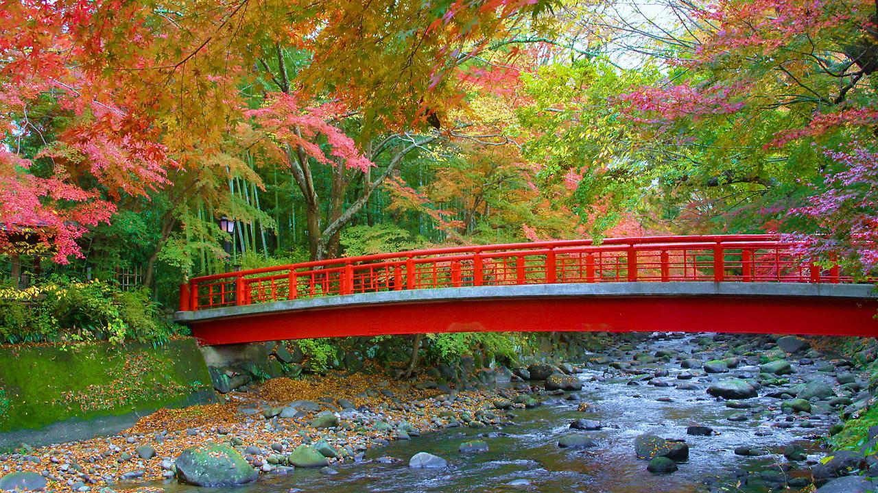 Ooedo Onsen Monogatari Toi Marine Hotel Идзу Экстерьер фото